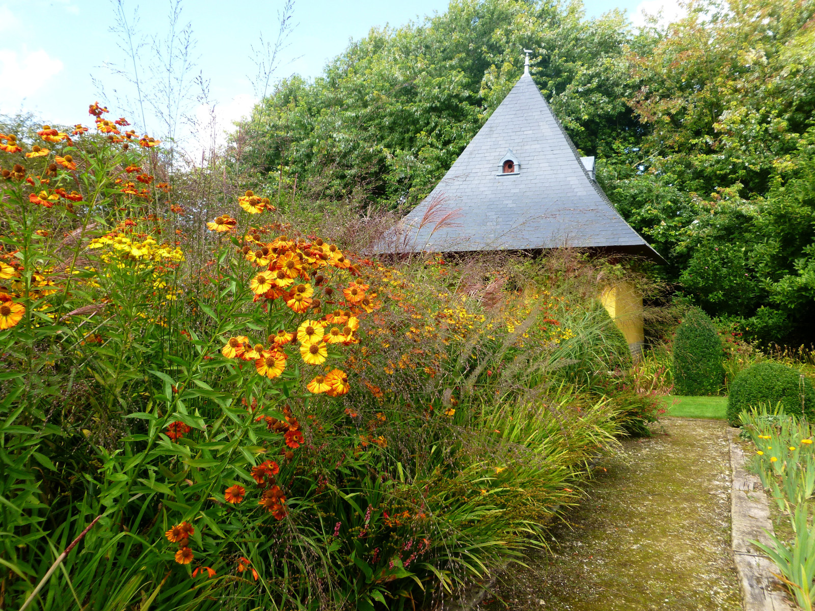 gräs, hus, träd, blommor, Trädgård, buskarna, calendula, ringblommor