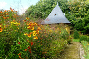 calendula, flowers, Garden, grass, house, marigolds, the bushes, trees