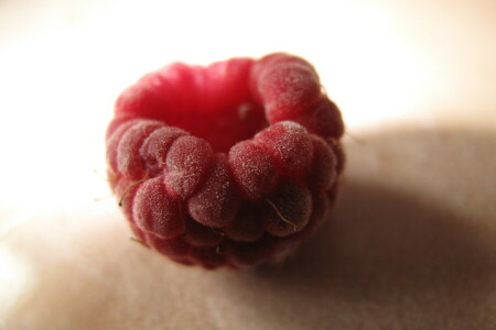 berries, close-up, raspberries, raspberry