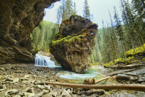 Albert, Banff National Park, kanada, skog, Johnston Canyon, bergen, flod, stenar