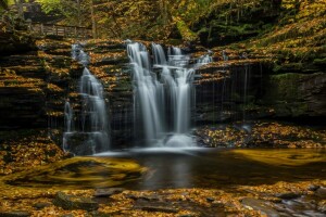 ősz, vízesés, levelek, PA, Pennsylvania, Ricketts Glen Állami Park, vízesés