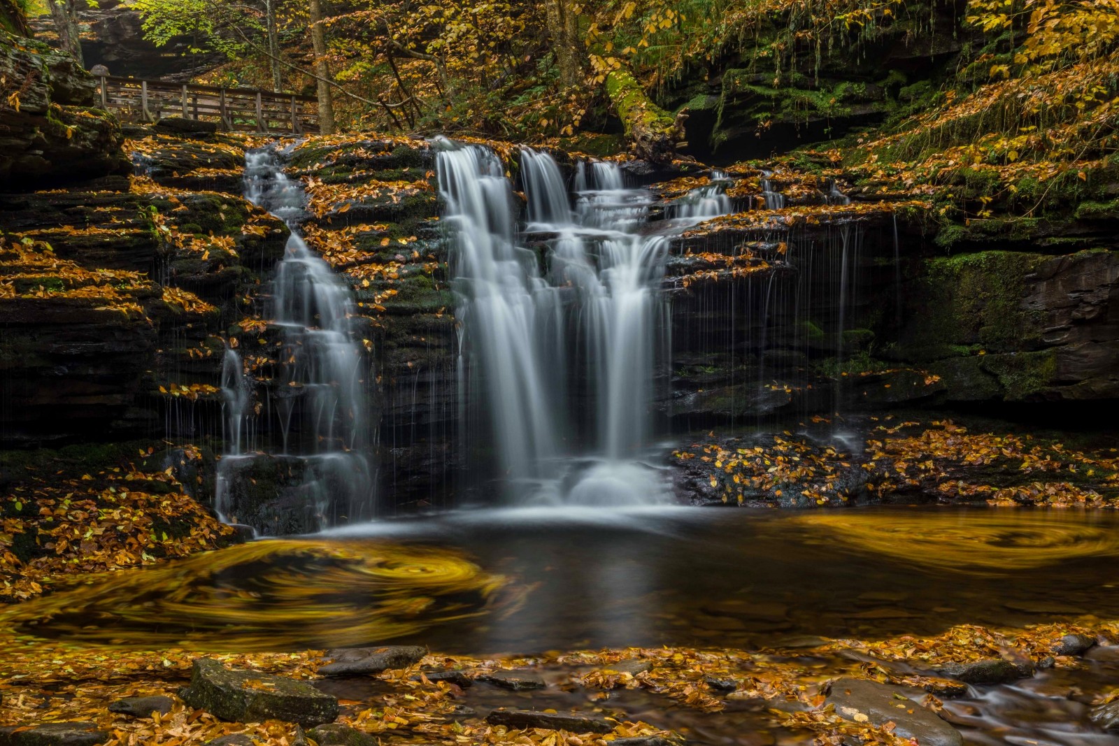 jesień, wodospad, pozostawia, Pensylwania, kaskada, ROCZNIE, Park stanowy Ricketts Glen