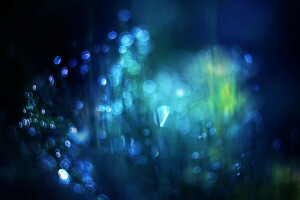 bokeh, light, spot