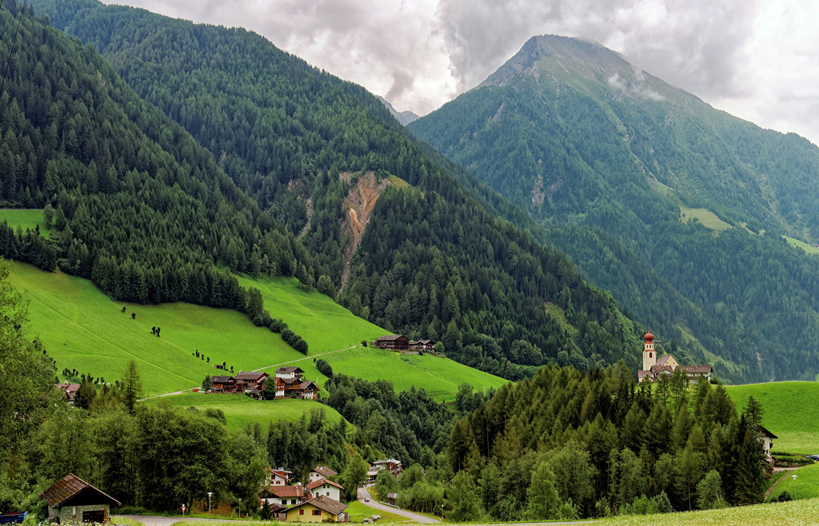 Wald, Bäume, Grüns, Feld, Berge, Italien, Steigung, Häuser