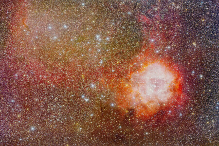 i stjernebilledet, stjernetåge, NGC 2237, udløb, Rosette, plads, enhjørning