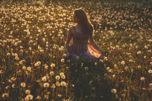 vestir, campo, campo de flores, niña, sombra, oscuridad