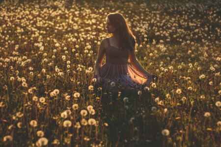 Kleid, Feld, Blumenfeld, Mädchen, Schatten, Schatten