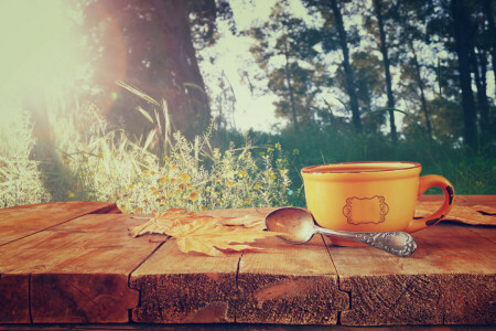 l'automne, café, tasse, chaud, feuilles