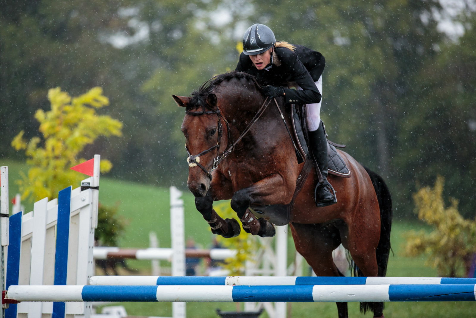 cheval, sauter, sport