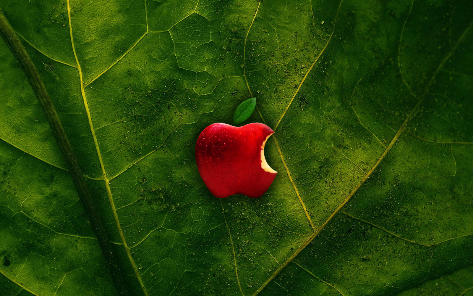 green, apple