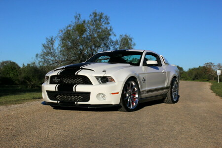 Vadställe, GT500, Mustang, Shelby