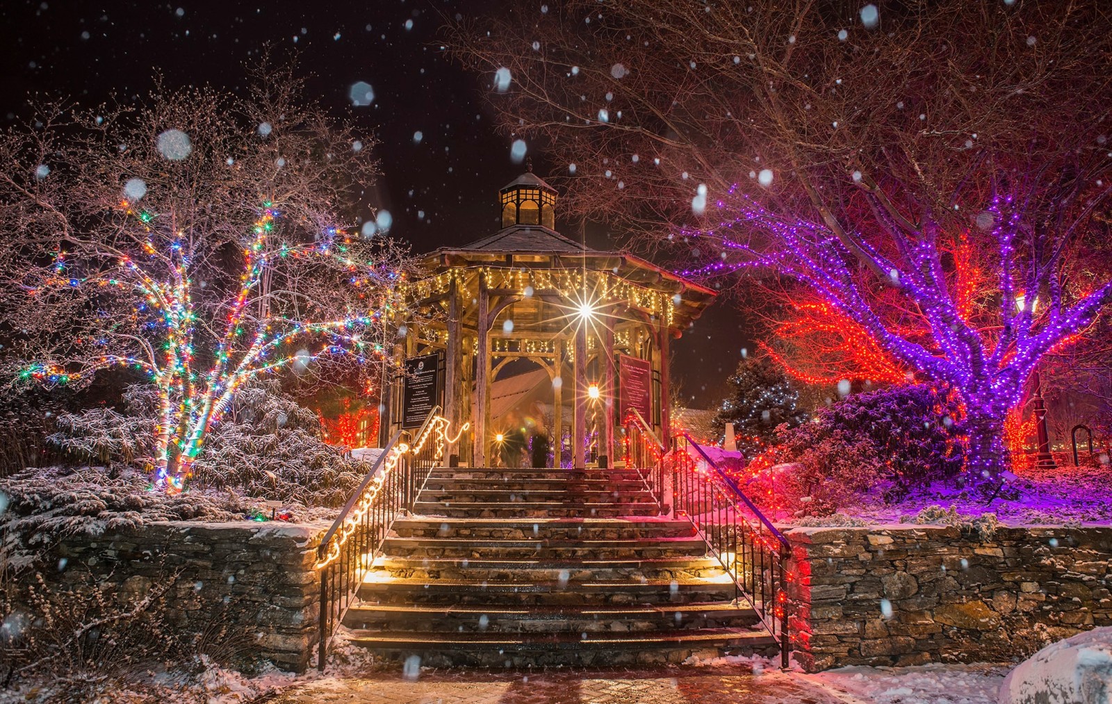 nieve, copos de nieve, Año nuevo, Navidad, Parque, invierno, fiesta, arboles