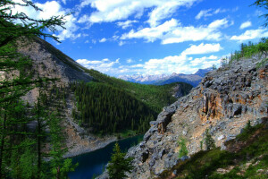 nuvole, foresta, lago, paesaggio, montagne, il cielo, alberi