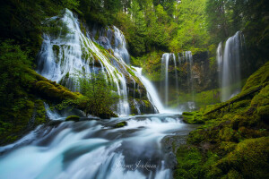 Panther Creek Falls, river, USA, Washington, waterfalls, wind