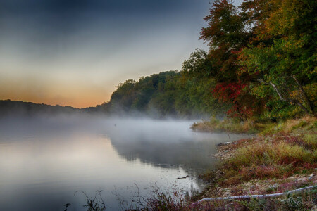 herfst, mist, Woud, meer, bomen