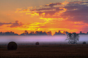 Wolken, Bauernhof, Feld, Nebel, Heu, Sonnenuntergang, die Landschaft, der Zaun