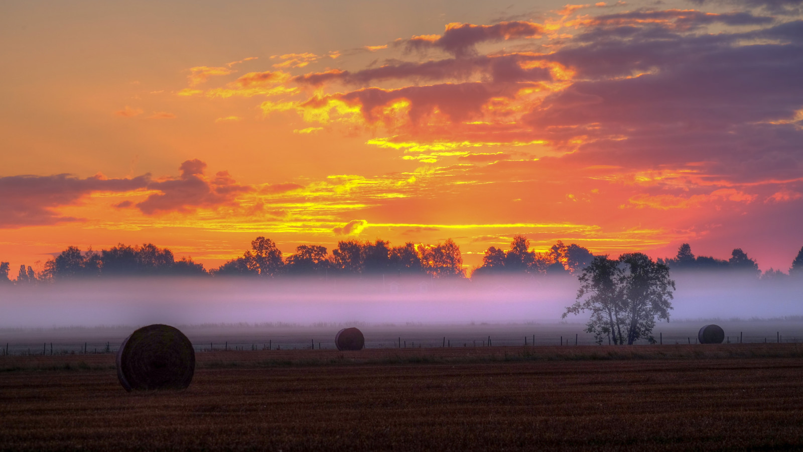 le coucher du soleil, des arbres, champ, des nuages, brouillard, la barrière, ferme, foins