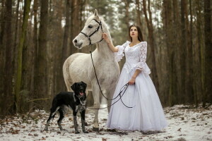 cachorro, menina, cavalo