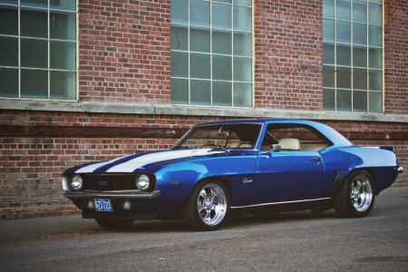 Camaro, lights, the building, wheel, WINDOWS