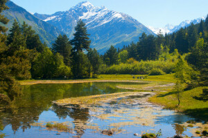 Georgia, Gras, Berge, der Himmel, Bäume, Wasser