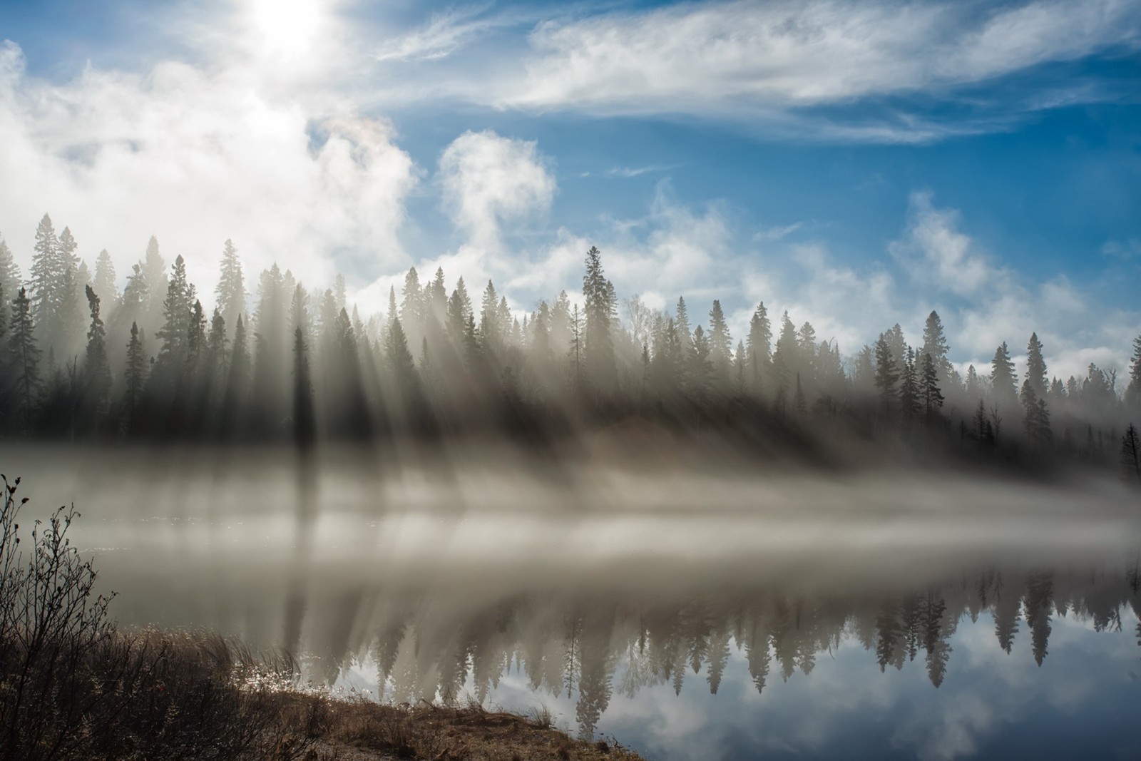 leggero, fiume, mattina, nebbia