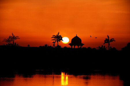 Egipto, palmeras, río, puesta de sol, el río Nilo hacia Assuan