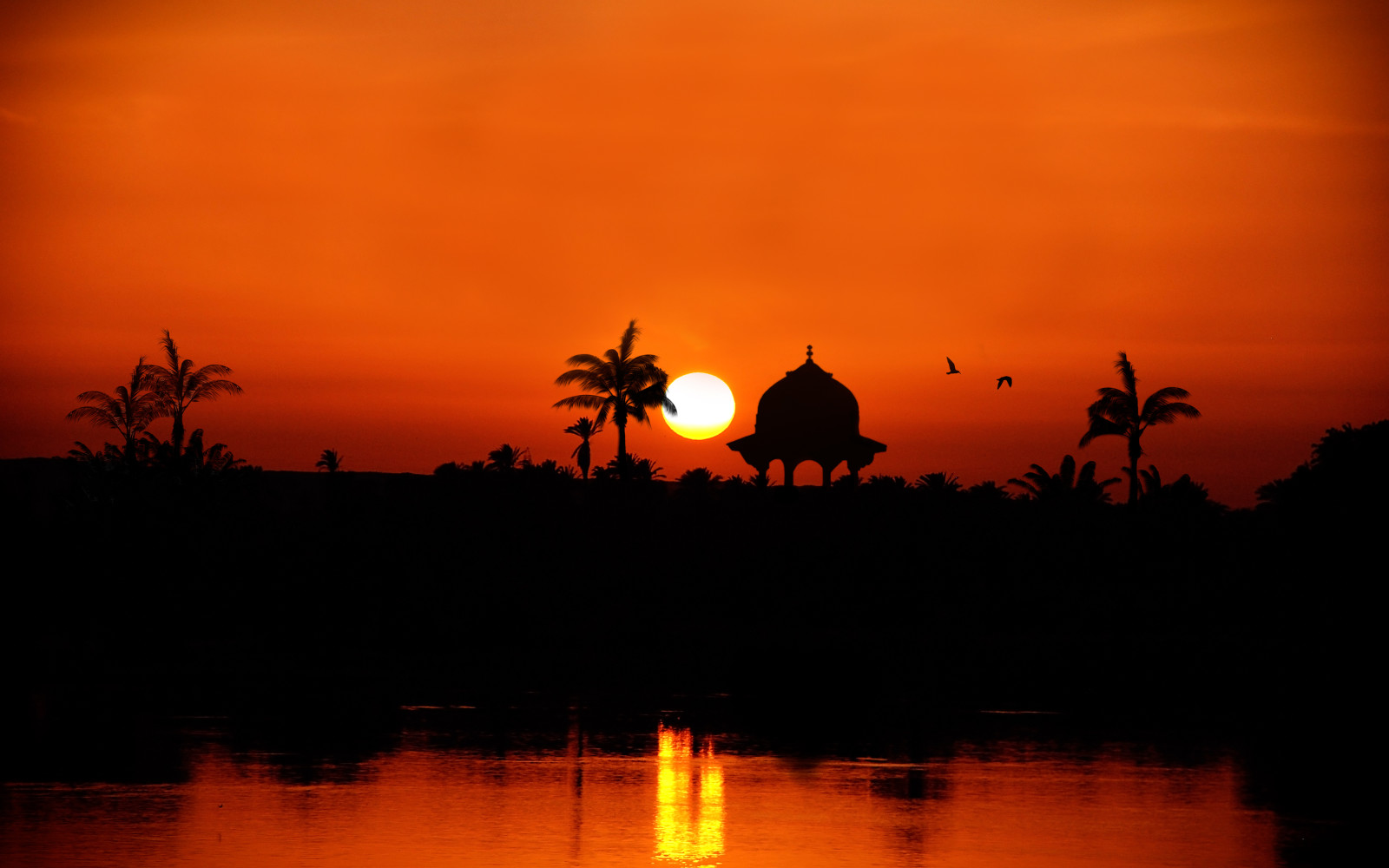 rivière, le coucher du soleil, palmiers, Egypte, le Nil vers Assuan