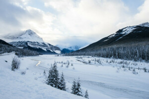 Congelato, montagne, fiume, strada, neve, inverno