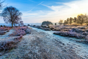 dawn, frost, Heather, landscape, morning, nature, road, the sky