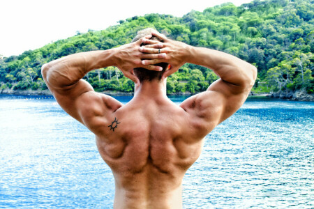 back, bodybuilder, men, pose