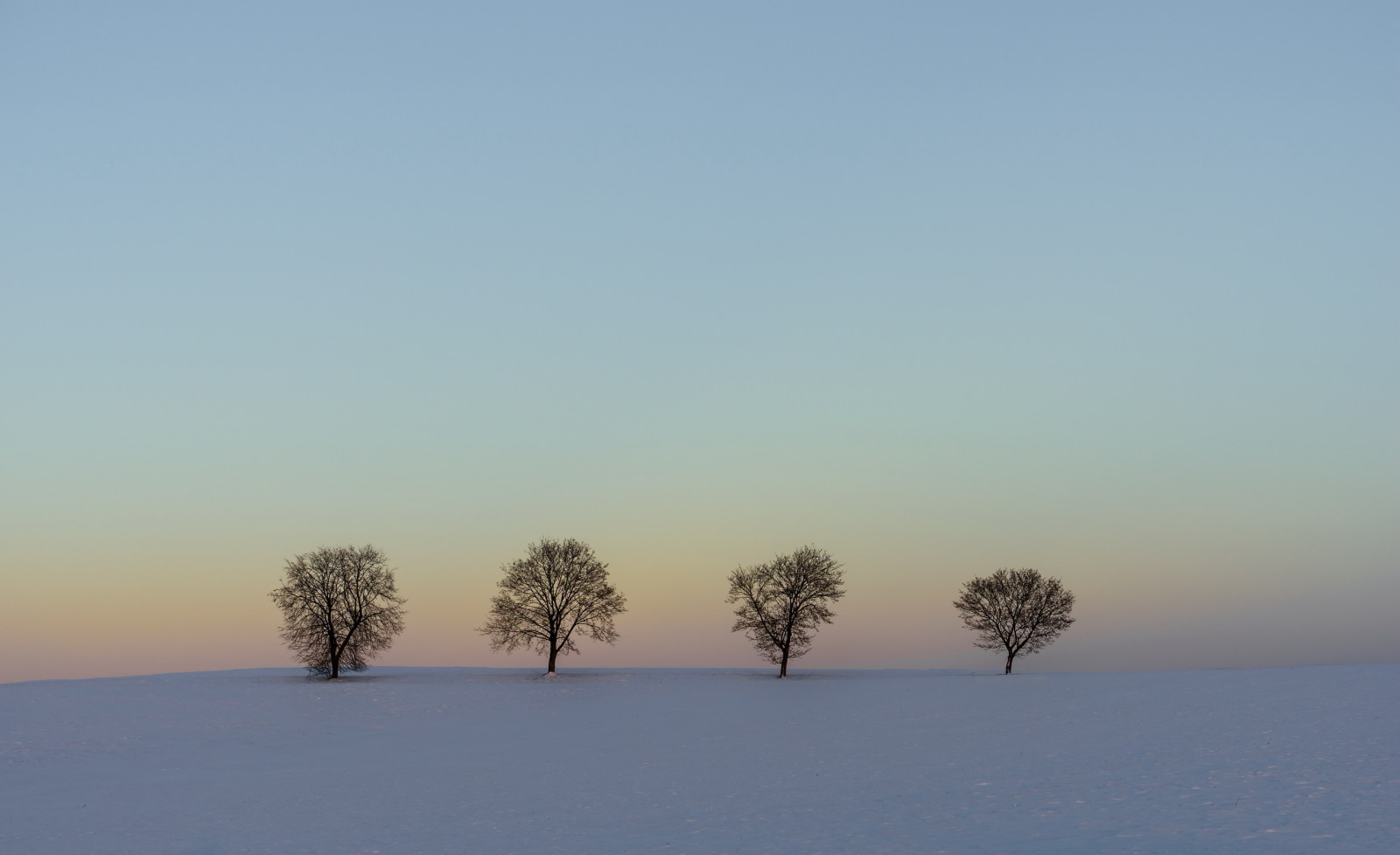 Schnee, Winter, Landschaft, Bäume, Feld