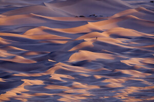 circa, Death Valley, Deserto, dune, fotografo, stato, Stati Uniti d'America