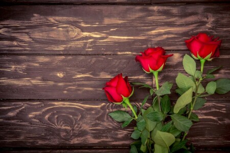 boeket, rood, rode rozen, romantisch, rozen, hout