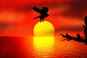 bird, Holding the SUN, reflection, sunset