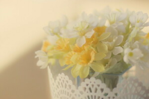 background, flowers, light