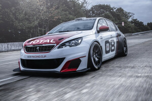 2016, 308, Peugeot, Race, Racing Cup