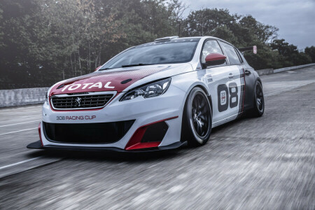 2016, 308, Peugeot, Ras, Racing Cup