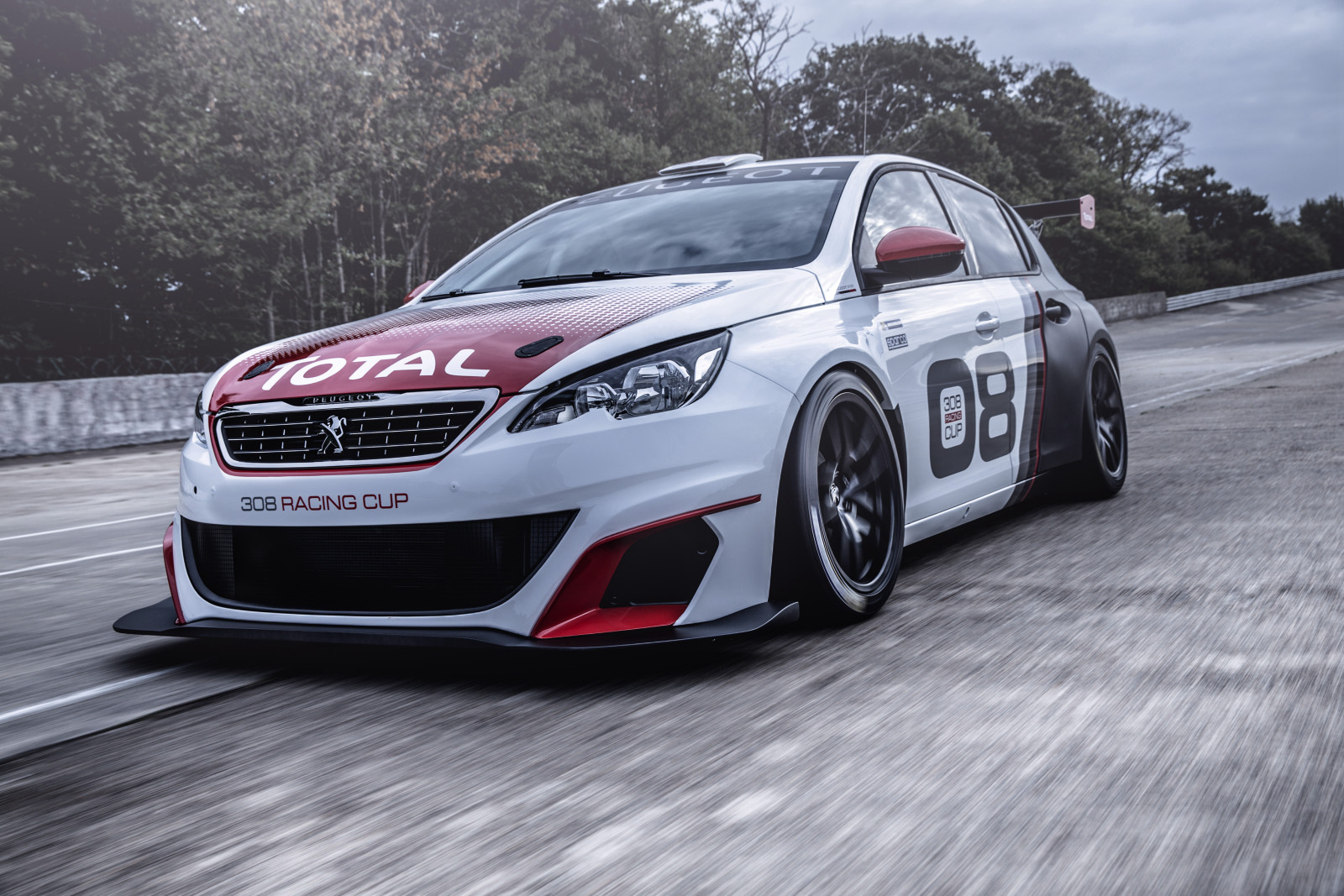 Race, Peugeot, 2016, 308, Racing Cup