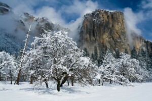 CA, Καλιφόρνια, βουνό El Capitan, βουνά, χιόνι, Ο καπετάνιος, δέντρα, χειμώνας