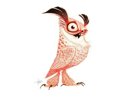 drawing, owl, pose