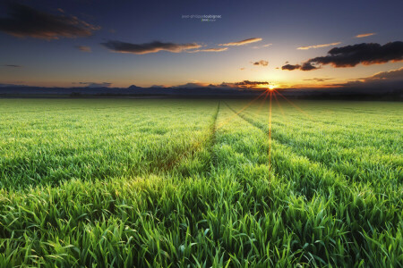 April, Feld, Strahlen, Frühling, Die Sonne