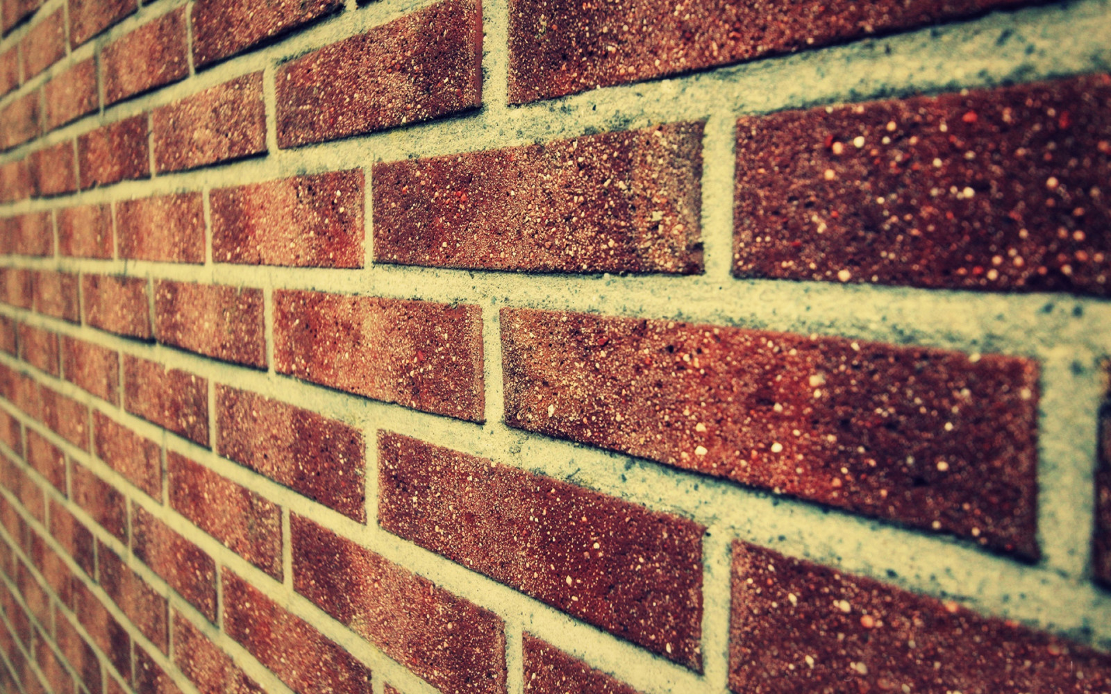 perfect, colors, wall bricks, cement