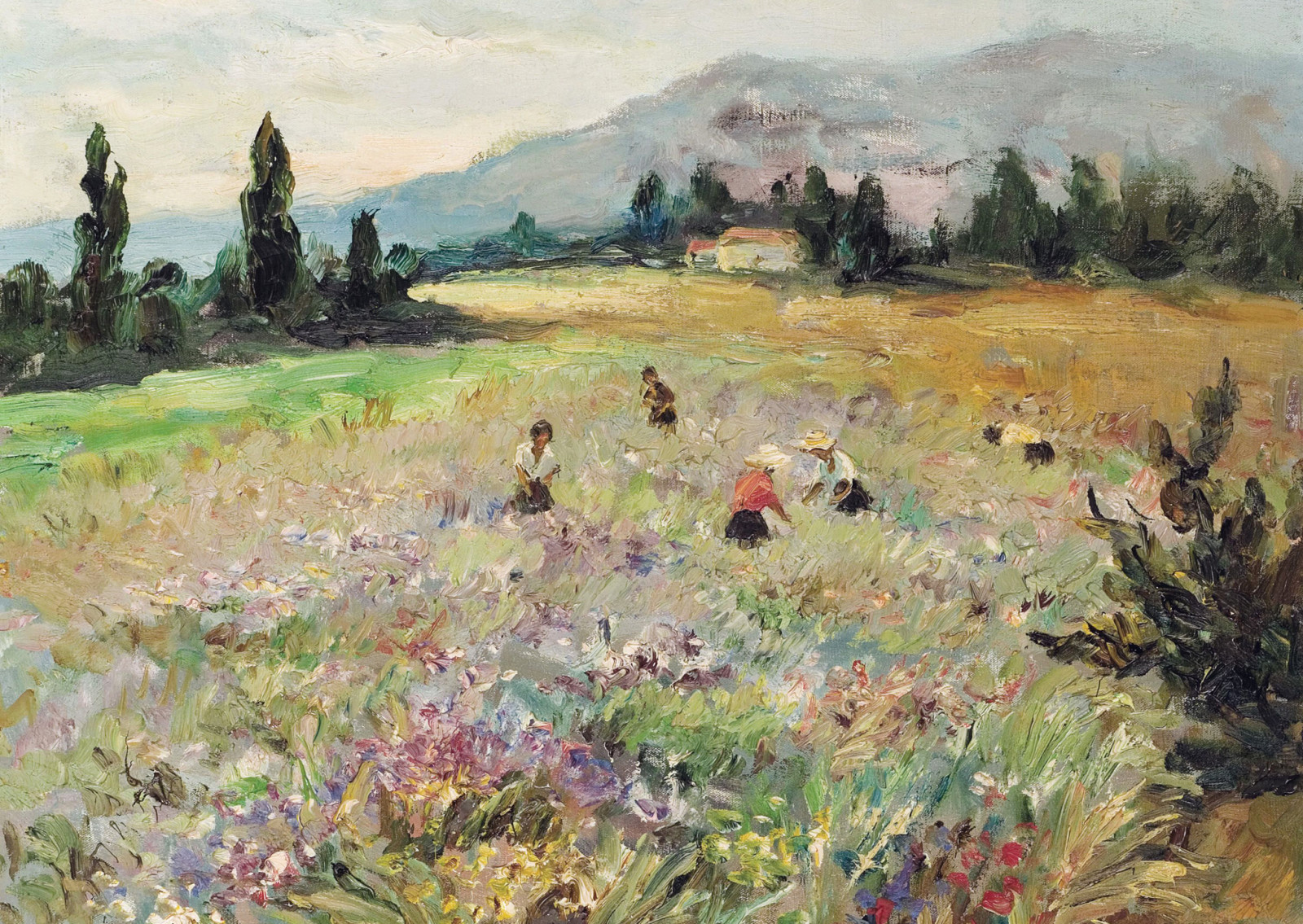 tájkép, terület, kép, hegyek, rét, a Francia Riviérán, Field at Biot