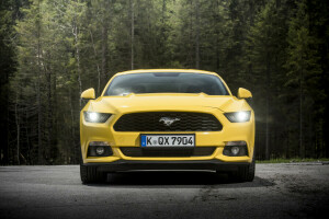 2015, coupe, EU-spec, doorwaadbare plaats, Mustang