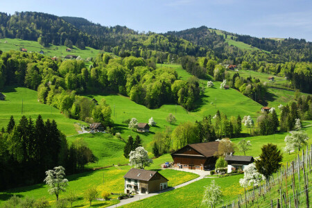 England, Feld, Gras, Hügel, Häuser, Wiesen, Bäume