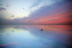 birds, people, sea