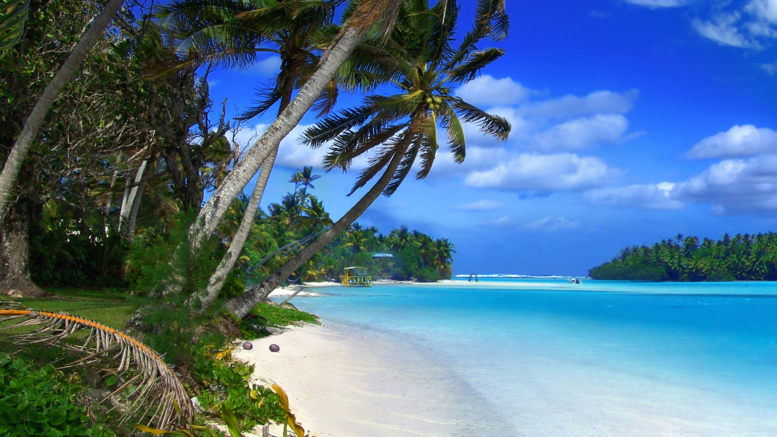 été, rive, plage, mer, le sable, tropical, paumes, paradis