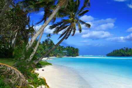 playa, palmas, Paraíso, arena, mar, apuntalar, verano, tropical