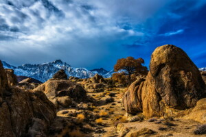 Desert, mountains, nature, plants, snow, stones, tops