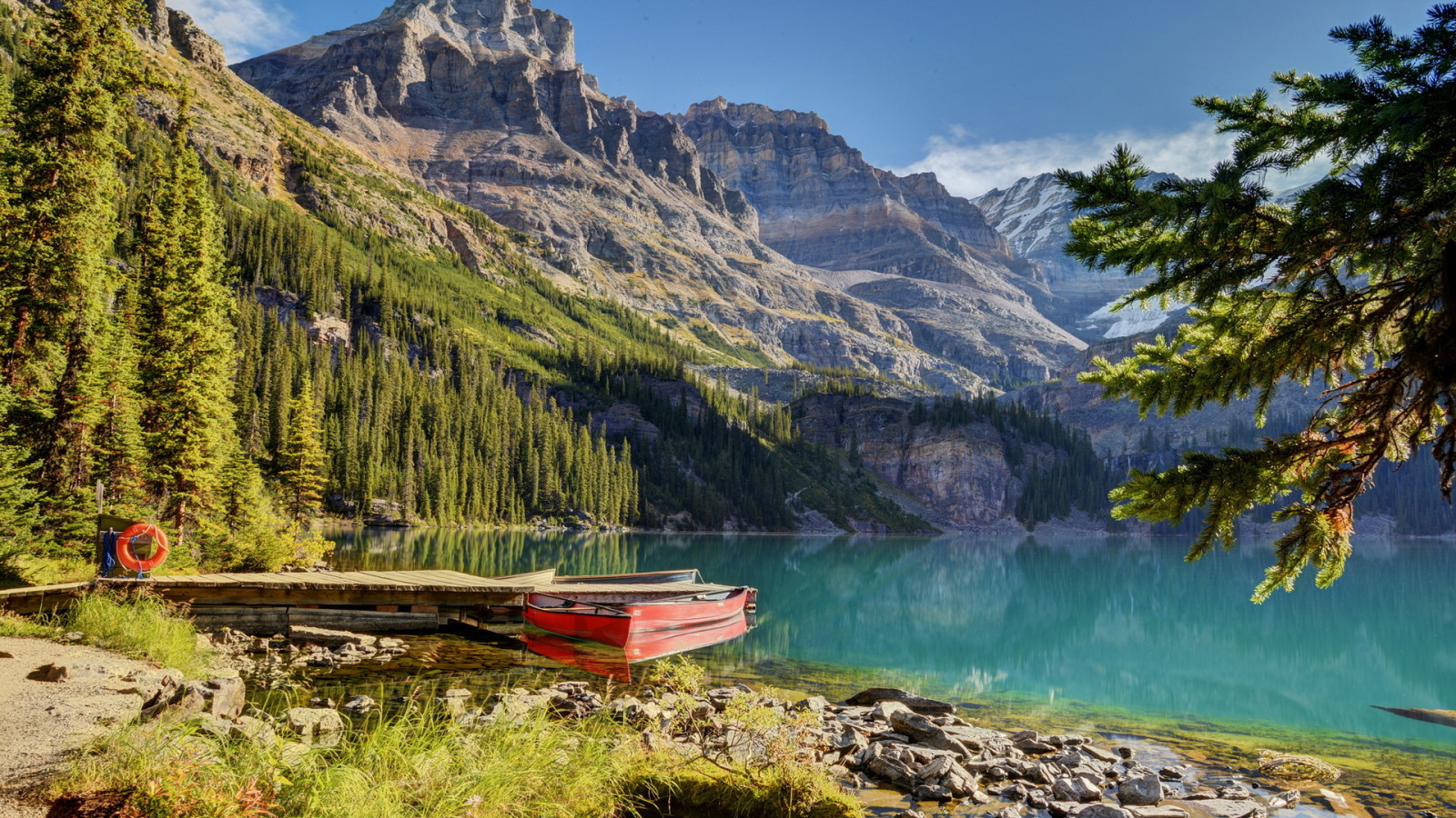 forest, lake, trees, mountains, water, boat